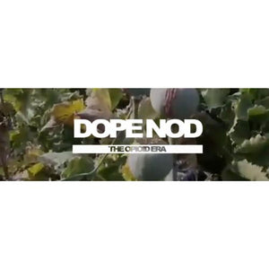 "Dope Nodd" video via The Opioid Era